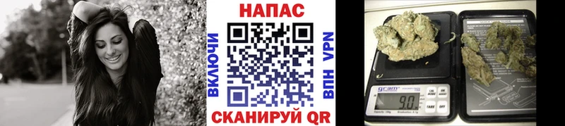 мориарти какой сайт  Луза  Канабис OG Kush 